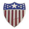 Branch Insignia