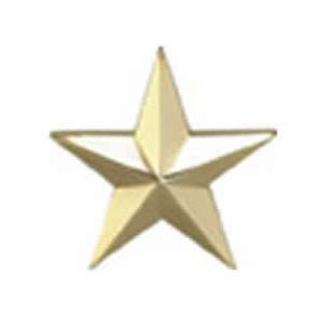 1 Star Rank Insignia Pin