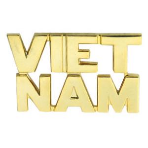 Vietnam Letters Pin