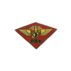 HQ PAC Air Wing Pin