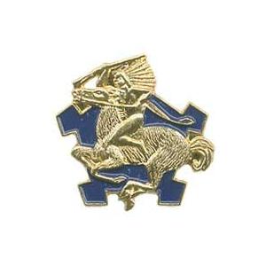 9th Cavalry Regiment Pin