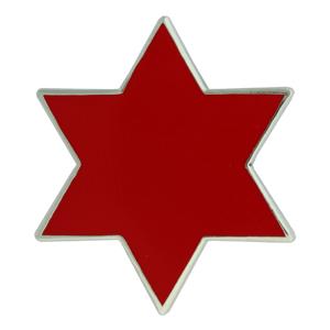 6th Division Pin