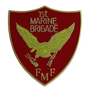 1st Marine Brigade FMF Pin