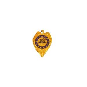 24th Support Battalion Distinctive Unit Insignia