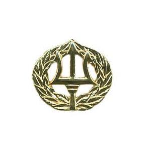 Navy Command Ashore Badge