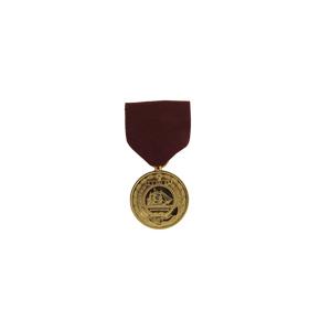 Navy Good Conduct Anodized Medal (Full Size)