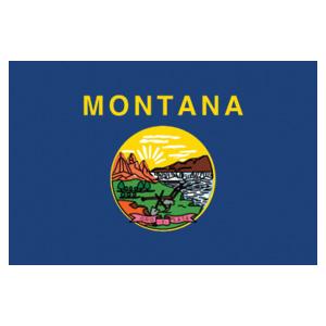 Montana State Flag (3' x 5')