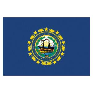 New Hampshire State Flag (3' x 5')
