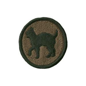 81st Army Reserve Command Patch