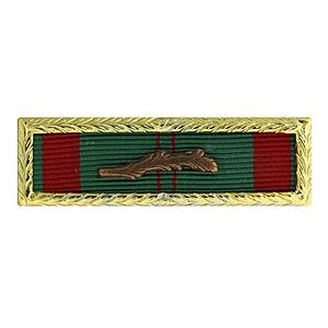Republic of Vietnam Civil Actions Unit Citation (Small Frame Ribbon)