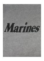 Marine T-shirt (Gray)