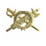 Army Officer Inspector General Insignia