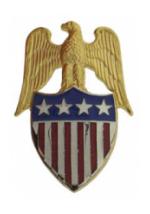 Aide to General Insignia