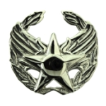 Air Force Commander's Badge