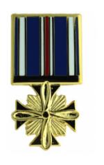 Distinguished Flying Cross (Hat Pin)