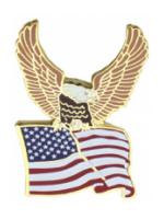 US Flag with Eagle Pin