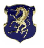 6th Cavalry Pin
