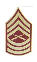 Marine Master Sergeant E-8 Pin (Gold on Red)