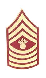 Marine Master Gunnery Sergeant E-9 Pin (Gold on Red)