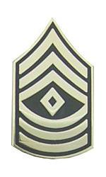 Army First Sergeant E-8 Pin (Gold on Green)
