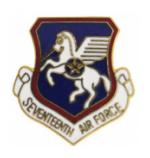 Seventeenth Air Force Pin