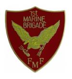 1st Marine Brigade FMF Pin