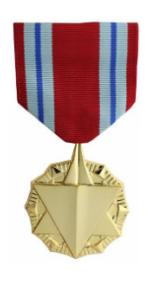 Combat Readiness Anodized Medal (Full Size)