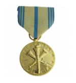 Armed Forces Reserve Medal (Full Size) Anodized