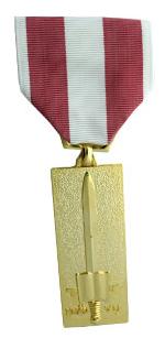 Vietnam Training Service Medal 2nd. Class (Full Size Medal)