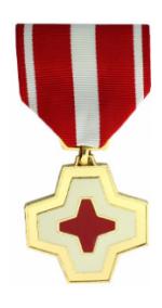 Vietnam Lifesaving (Full Size Medal)