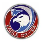 Air Force Eagle Driver Pin