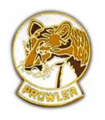Air Force Prowler Pin