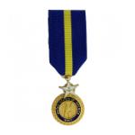 Navy Distinguished Service Medal (Miniature Size)