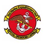 31st Marine Expeditionary Unit Patch