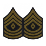 1st Sergeant Sleeve Chevron (Green Stripe)