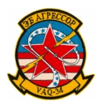 Navy Electronic Attack Squadron Patches (VAQ)