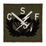 506th Airborne Strike Force Patch