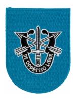 19th Special Forces Group (Large Flash Style Patch)