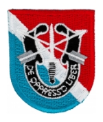 11th Special Forces Group Flash w/Insignia