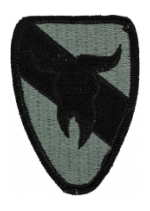 163rd Armored Cavalry Regiment Patch Foliage Green (Velcro Backed)