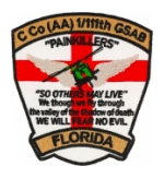 C-1/111th GSAB "PainKillers