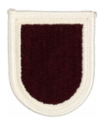307th Forward Support Battalion Flash