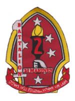 1st Battalion / 2nd Marines Patch