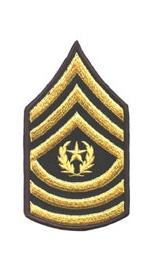 Army Command Sergeant Major (Sleeve Chevron) (Male)