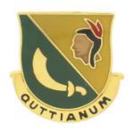 306th Military Police Battalion Distinctive Unit Insignia