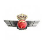 Spanish Parachutist Wing