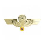 Ecuadorian Parachutist Wings (Gold)