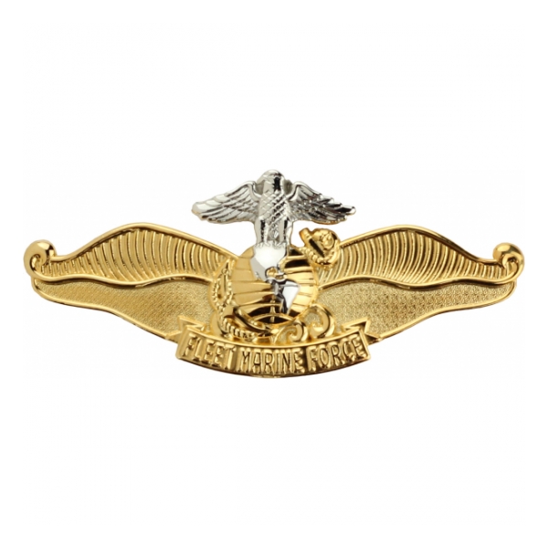 Fleet Marine Force (FMF) Chaplain Badge (Full Size)