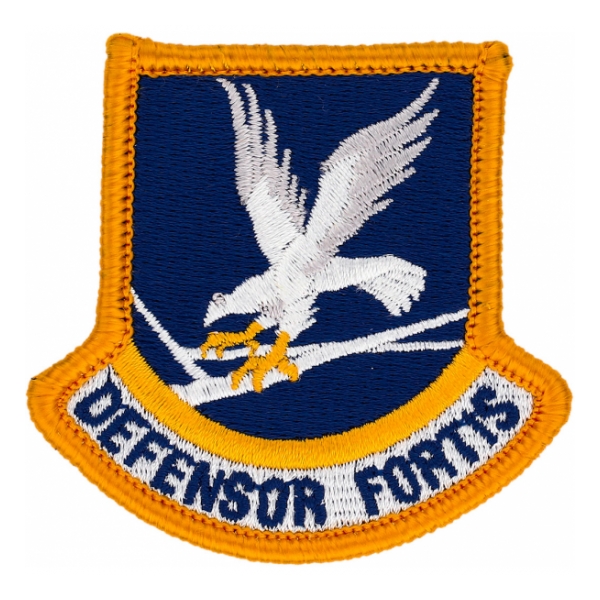 Air Force Security Forces Flash (Enlisted)