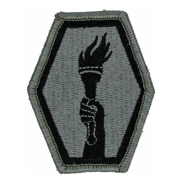 442nd Infantry Regiment Patch Foliage Green (Velcro Backed)